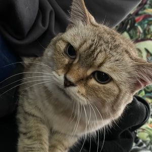 Meet your Posher, Jonathan